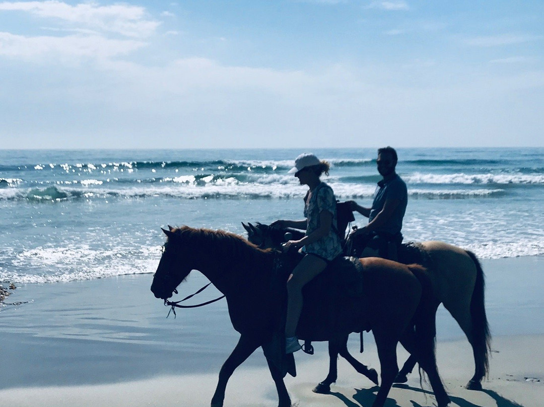 Traditional Horseriding of La Misión-La Mision必去景点