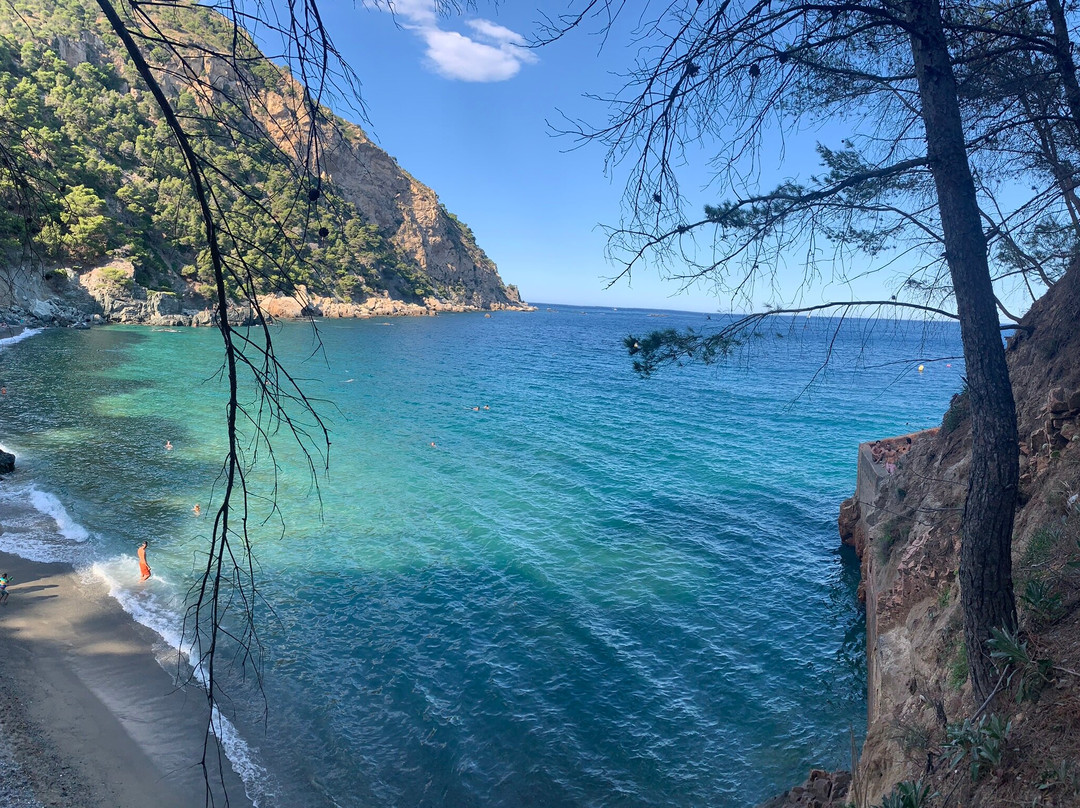 Hostal Sa Barraca主图