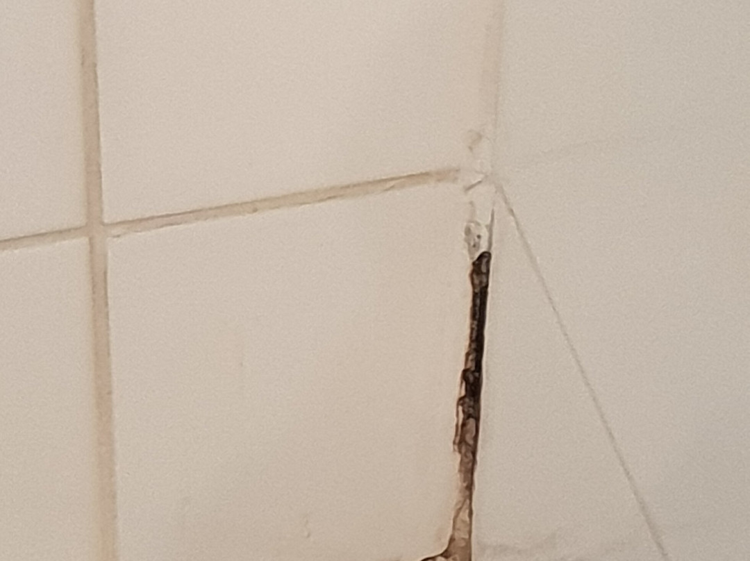 Belambra Clubs Les Ayguades主图