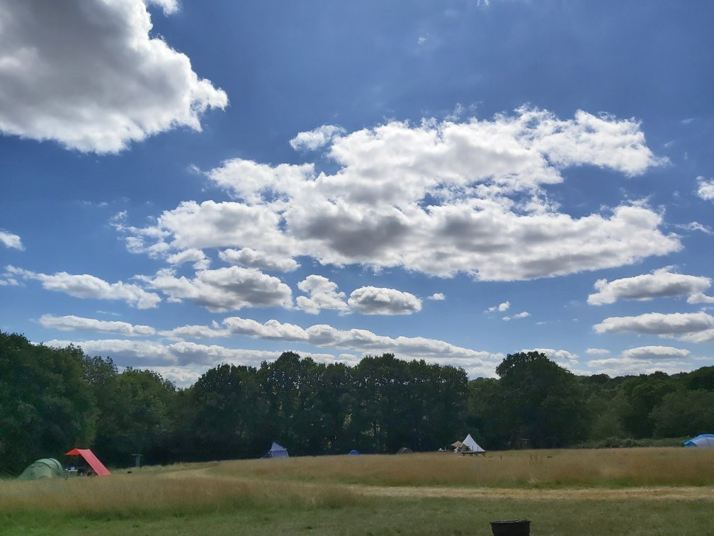 Star Field Glamping & Camping