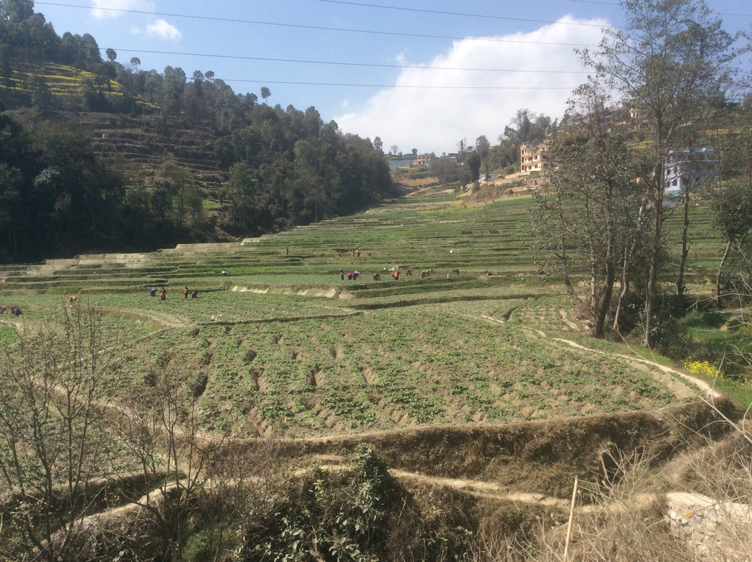 Nagarkot Nature Trail-纳加阔特必去景点