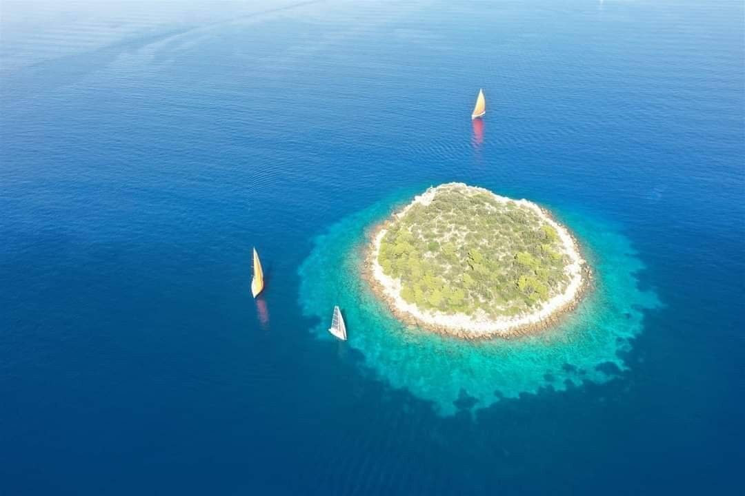 Amber Dive Center景点图片