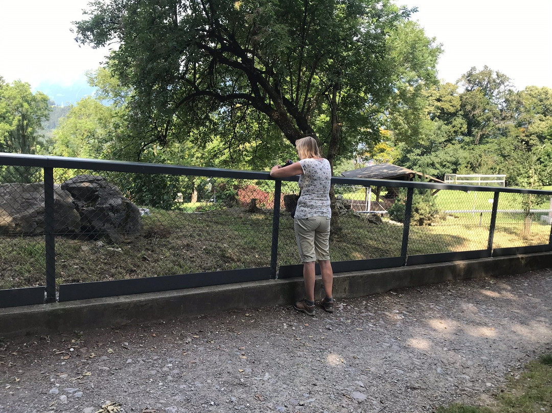 Wildpark Feldkirch-费尔德教堂市必去景点