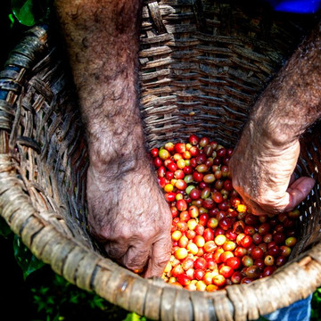 Café San Luis-蒙特沃德必去景点