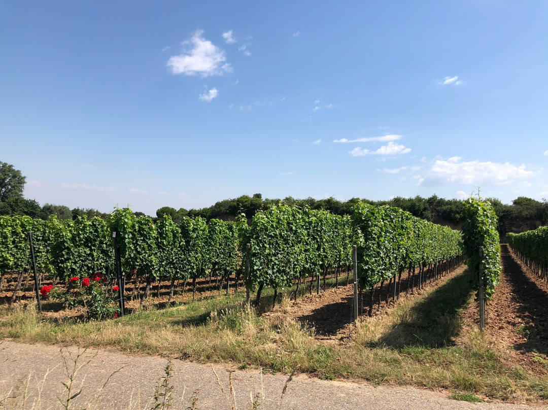 因蒙霍夫宫酒店主图