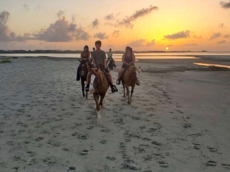 Outer Banks Riding Stables景点图片