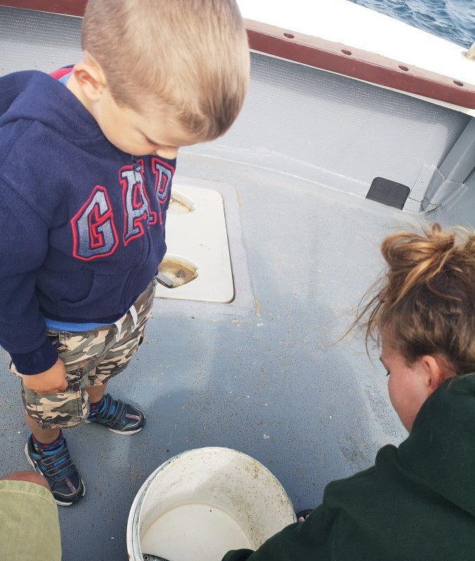 Tenby Fishing-腾比必去景点