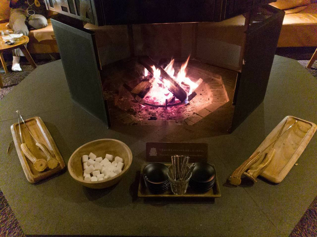 尼瑟克阿诗里酒店主图