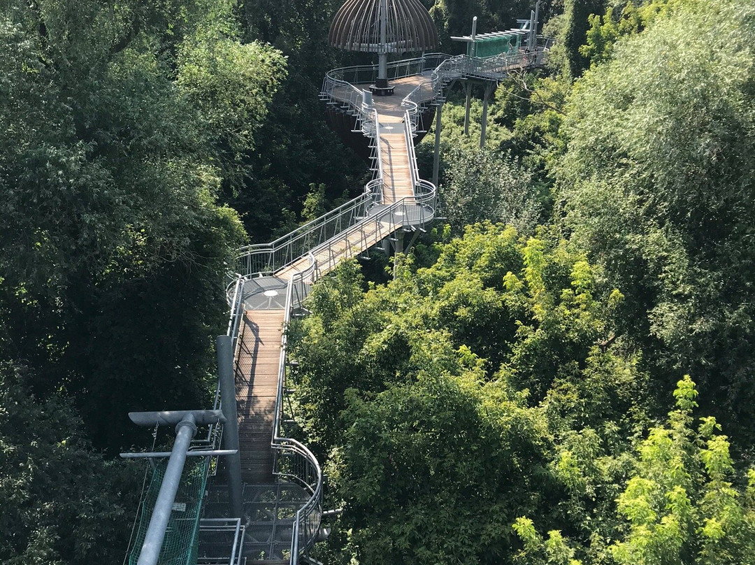 Lombkorona sétány-Mako必去景点