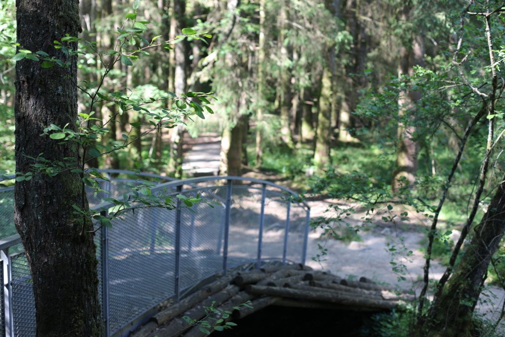 Confluence de la Cure et du Caillot