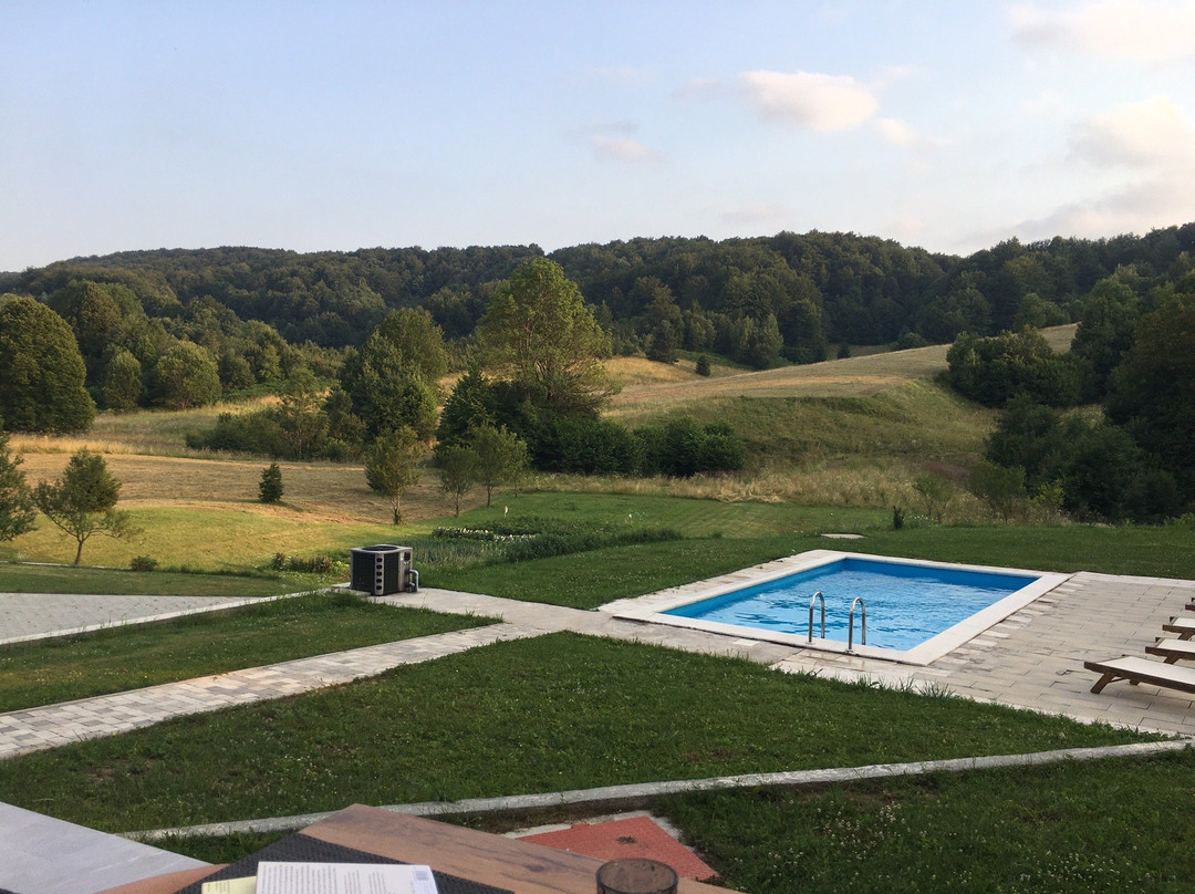 里卡别墅酒店主图