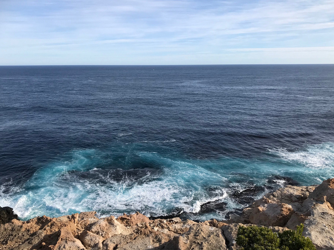 Cape Nelson State Park-波特兰必去景点