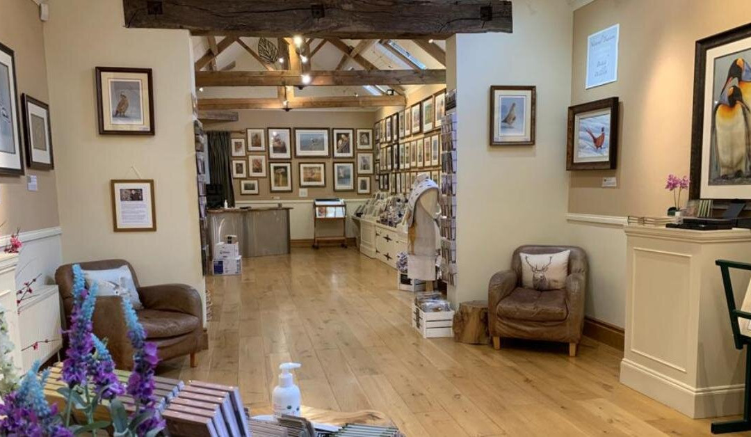 The Robert Fuller Gallery-马尔顿必去景点