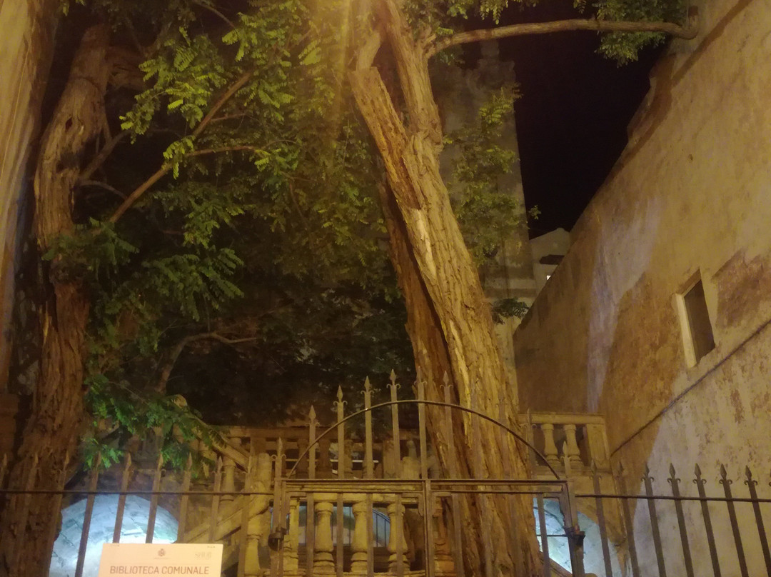 Biblioteca Comunale ed Archivio Storico-加里波利必去景点