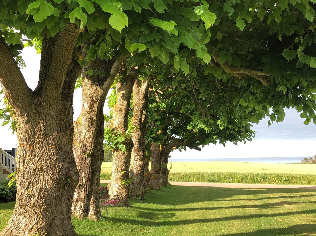 Beach House Inn主图