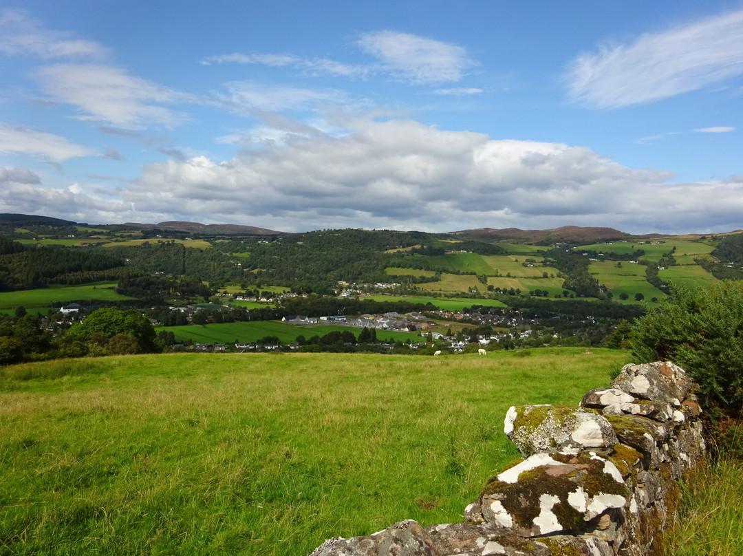 Woodlands Bed & Breakfast主图