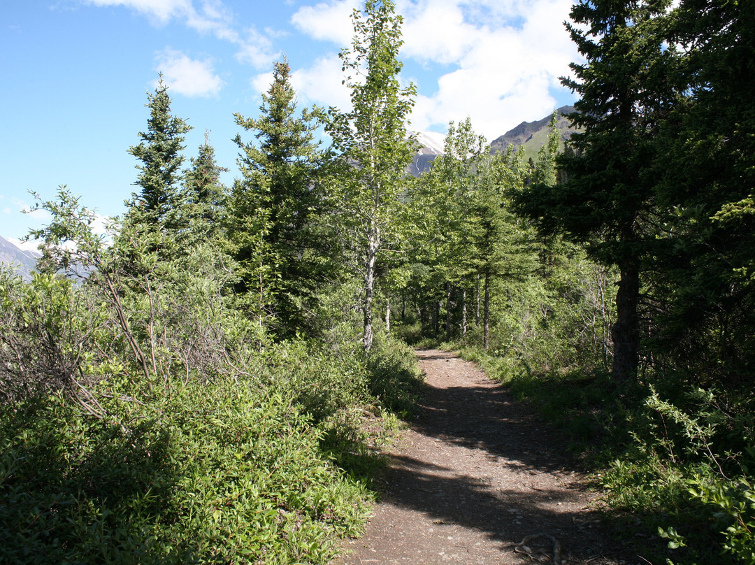 Root Glacier Trail-朗格－圣伊利亚斯国家公园暨保护区必去景点