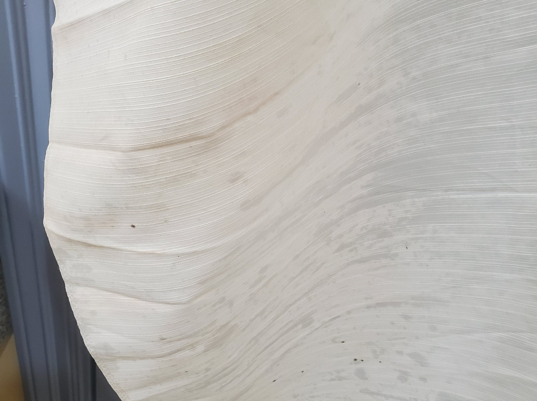 Days Inn by Wyndham Baton Rouge Airport主图