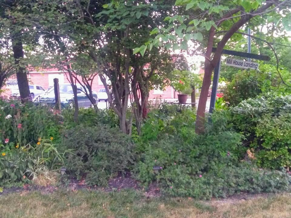 Mill House Bed and Breakfast主图