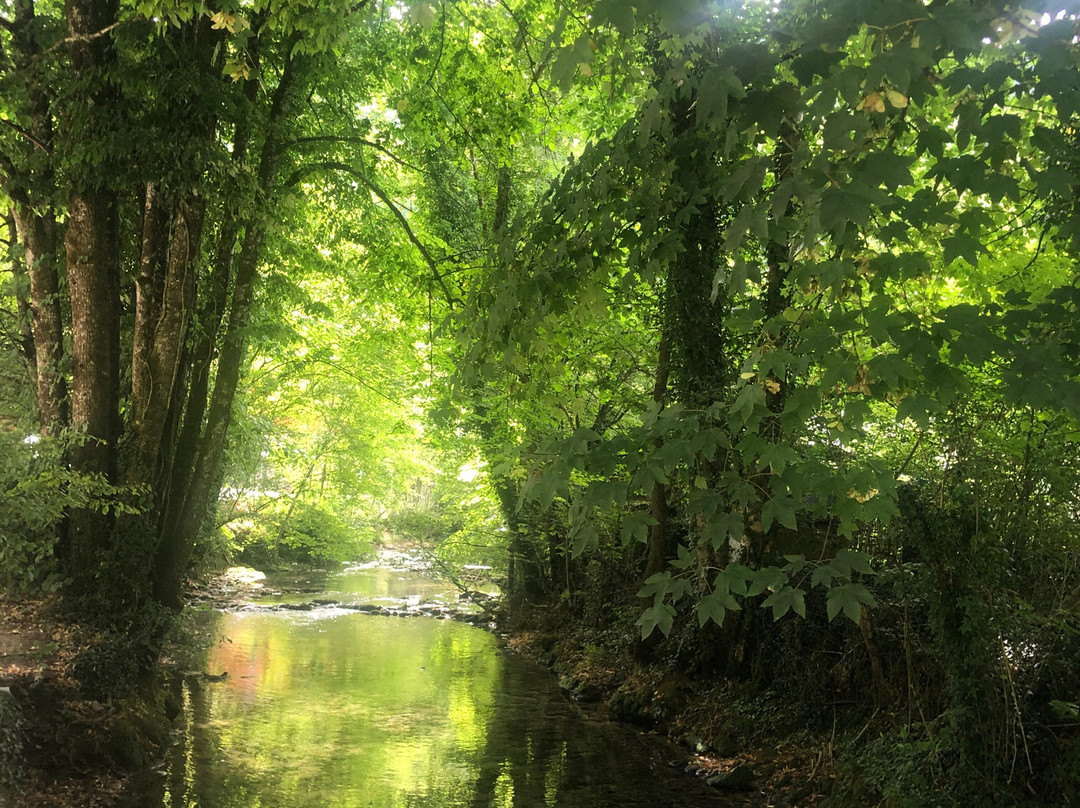 La Ferme du Bois Joli主图