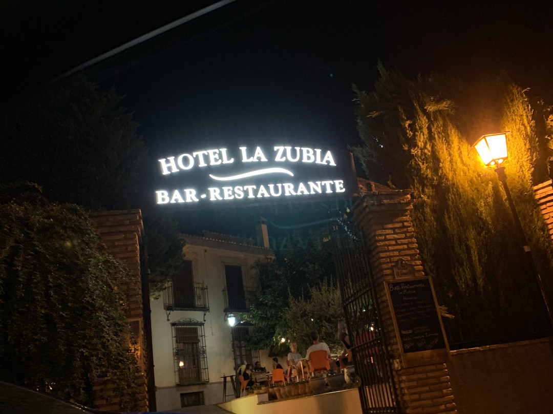 Hotel La Zubia主图