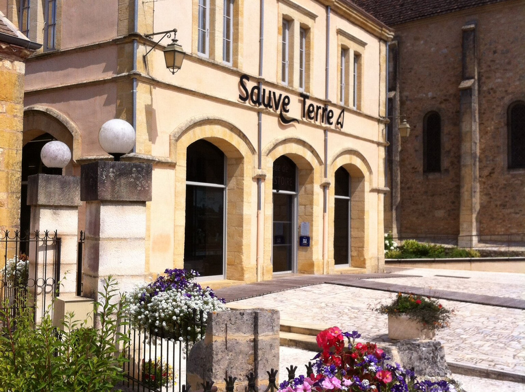 SauveTerre Musée de Préhistoire景点图片