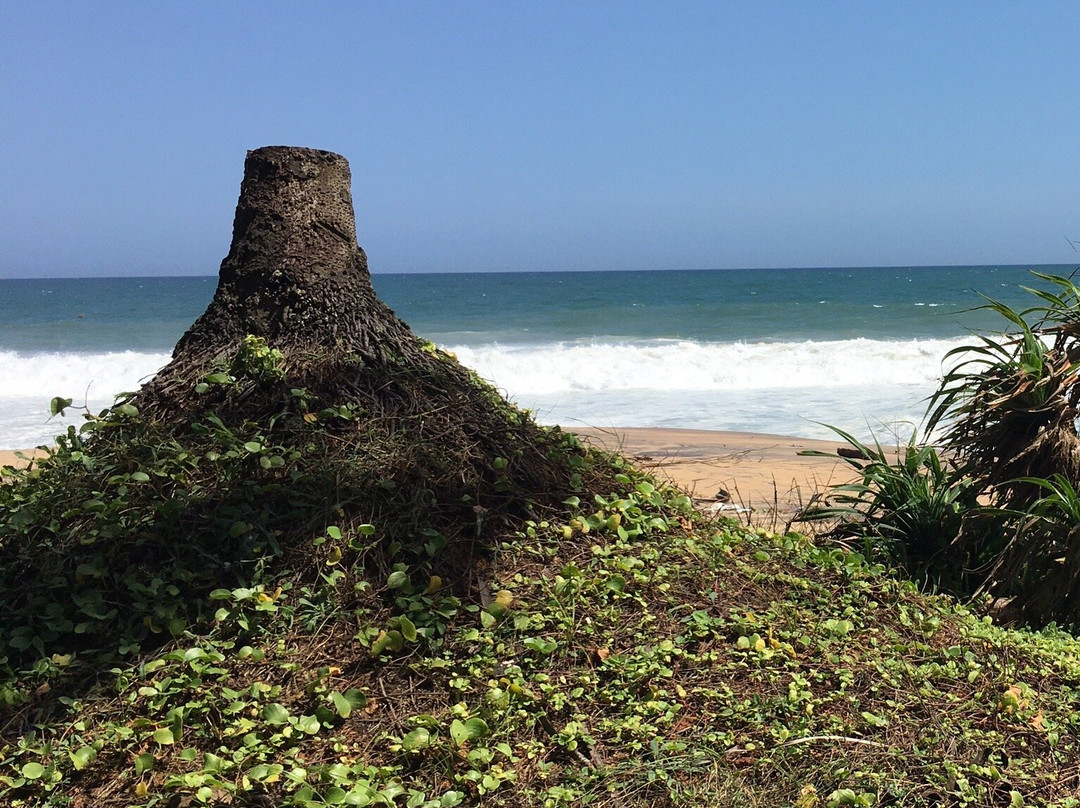 Thengapattinam Beach景点图片