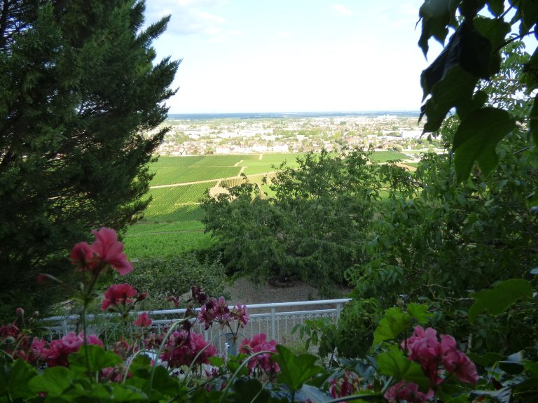 Les Bressandes-酒店景观