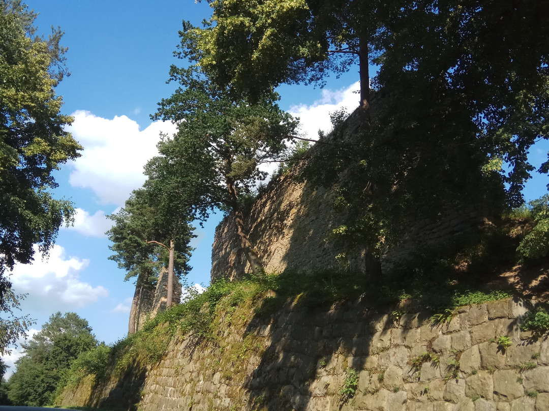 Chateau in Roznow景点图片
