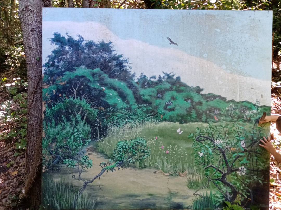 Oasi LIPU - Riserva Naturale Bosco Casale景点图片