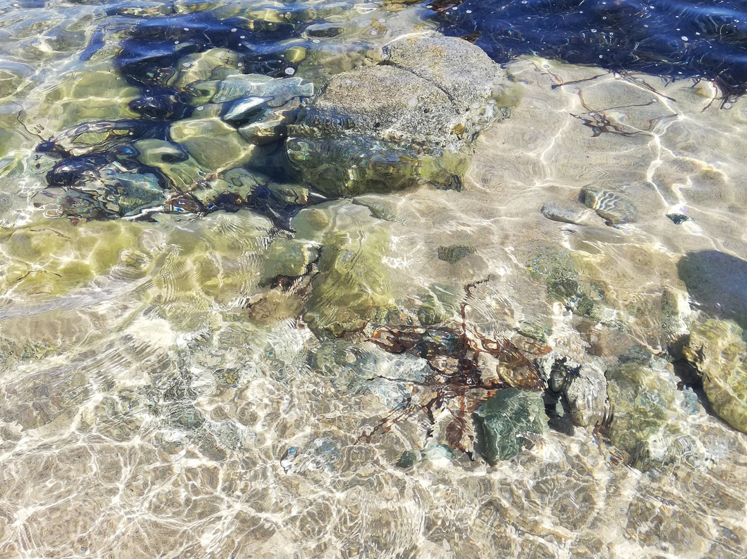 Cala Pischina-Aglientu必去景点