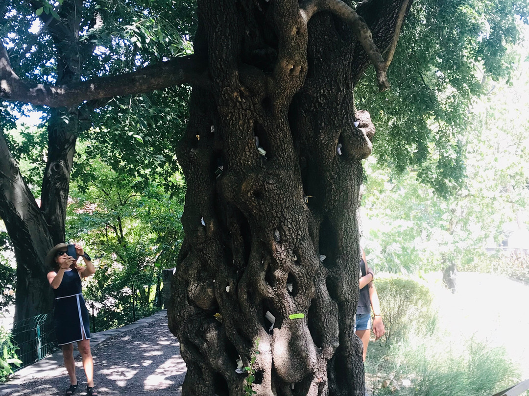 Jardin des Plantes景点图片