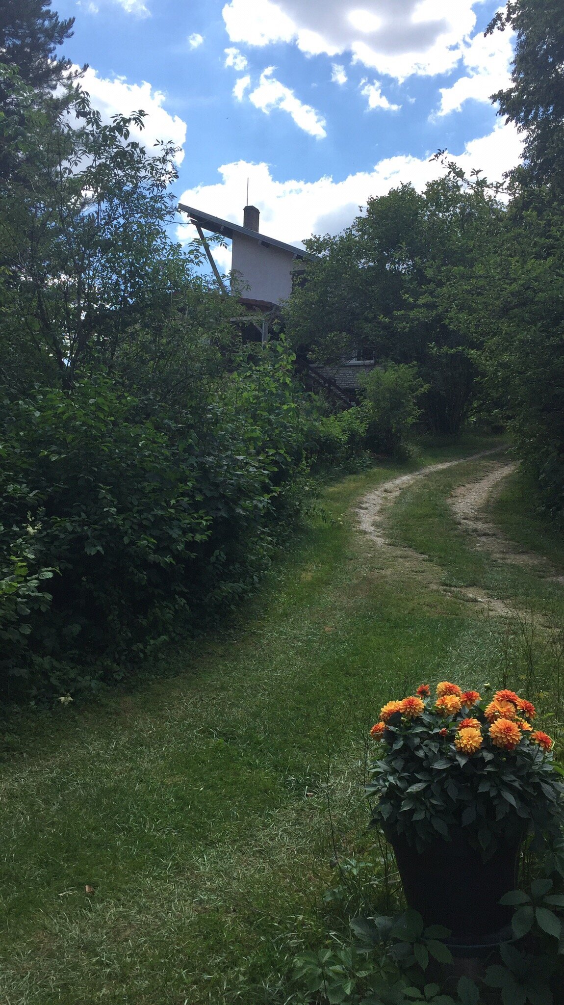 L'Orchidee Home-官方