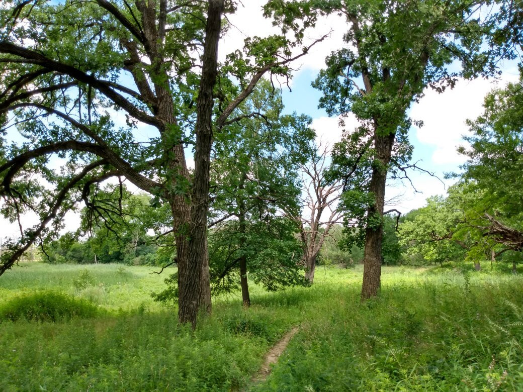 Bluff Spring Fen-埃尔金必去景点