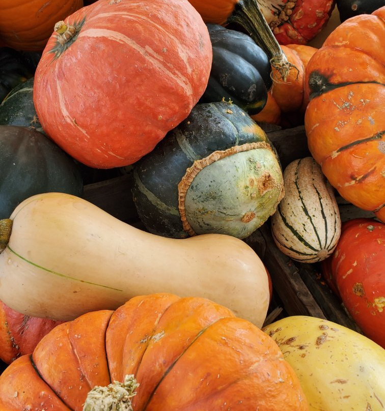 Buffalo River Artisans Cooperative-Linden必去景点