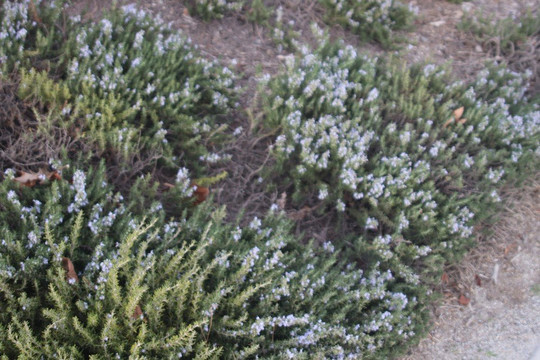 Spirit Park-Menifee必去景点