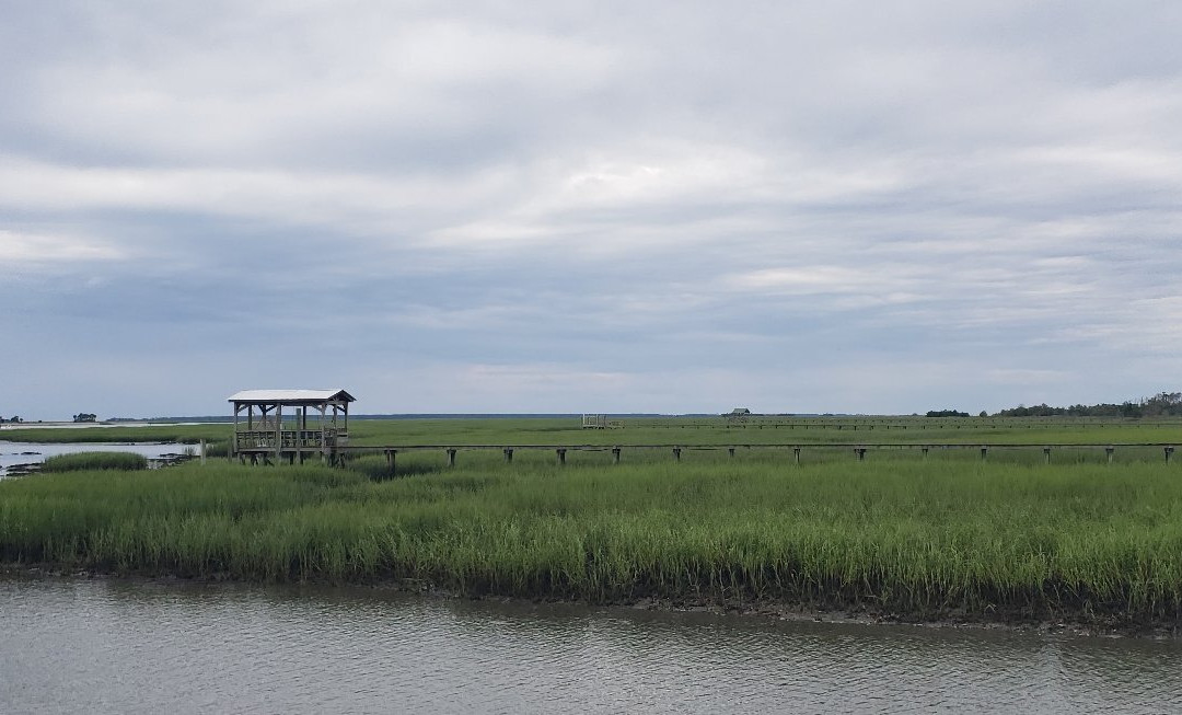 Cape Romain National Wildlife Refuge景点图片