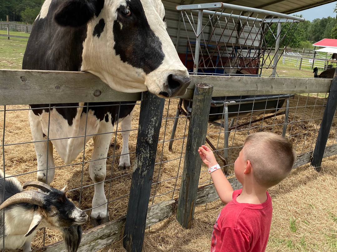 Petting zoo ocala-奥卡拉必去景点