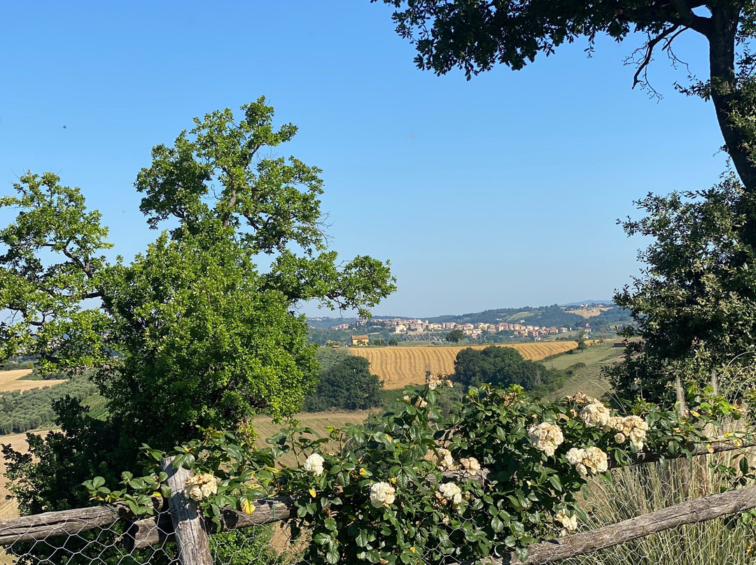 Agriturismo Surya主图