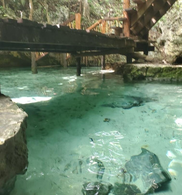 Avatar Adventures-图伦必去景点