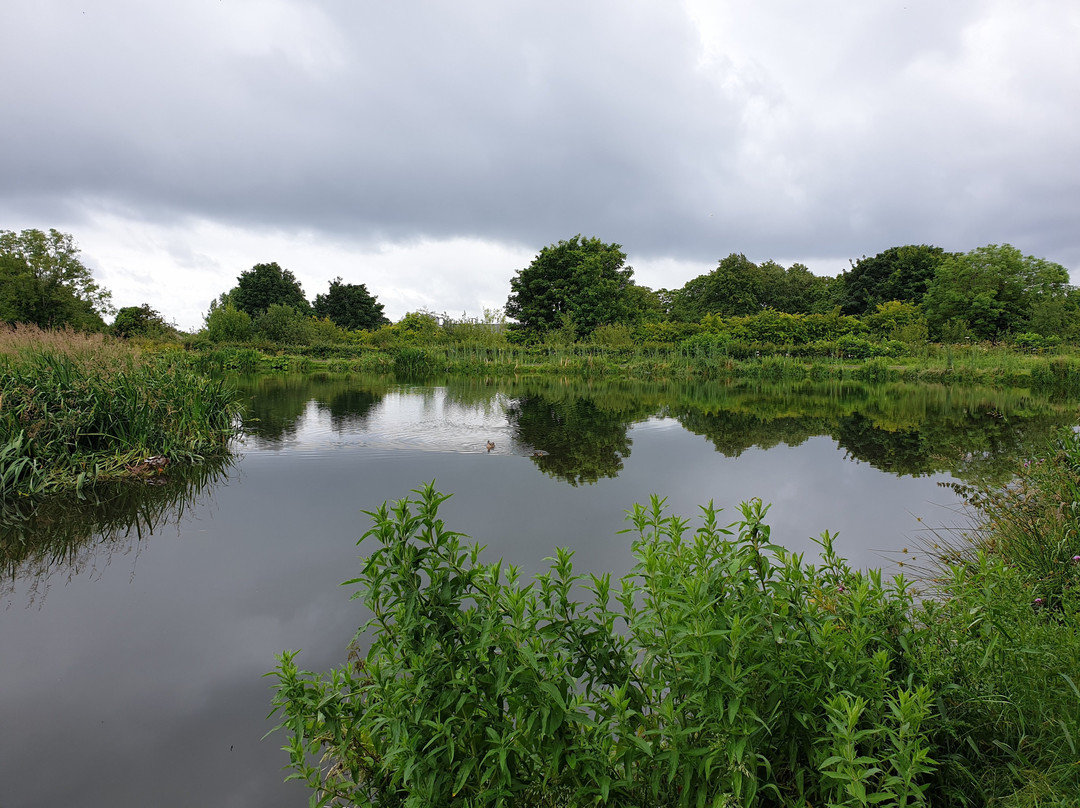 Shaftesbury Park and Carrickfergus Mill Ponds景点图片