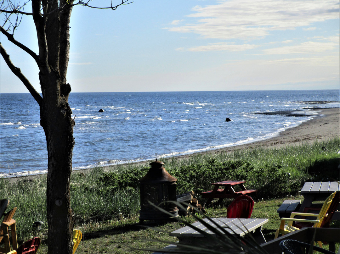 Motel Appartements Le Saint-Patrick主图