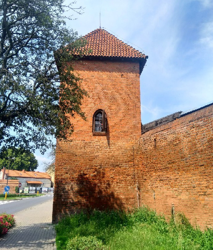Baszta Panienska景点图片