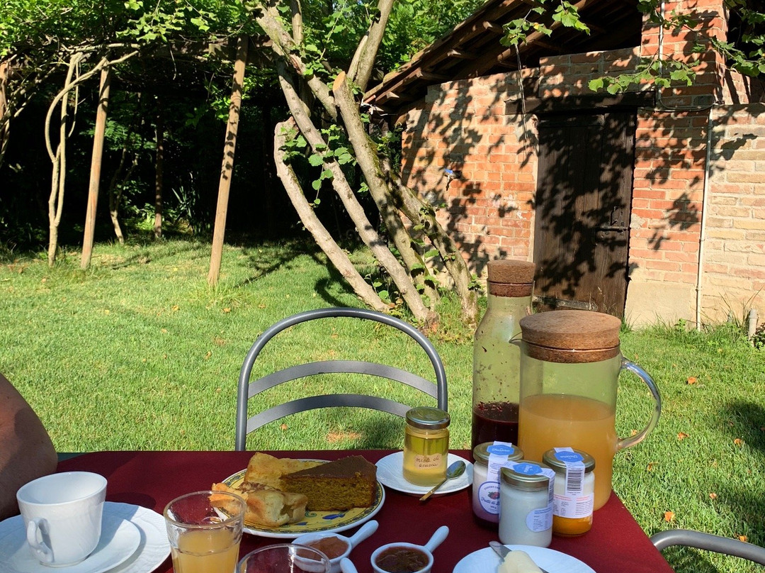 Agriturismo Il Gioco Dell'Oca主图