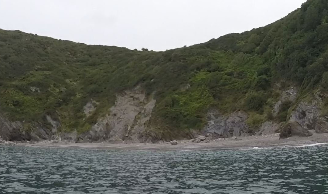 Wild Pear Beach景点图片