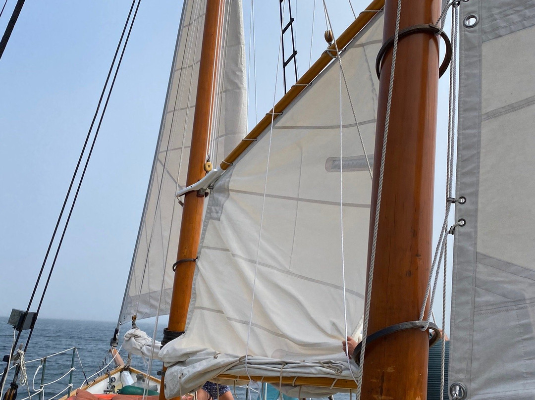 Schooner Eleanor Sailing Tours景点图片