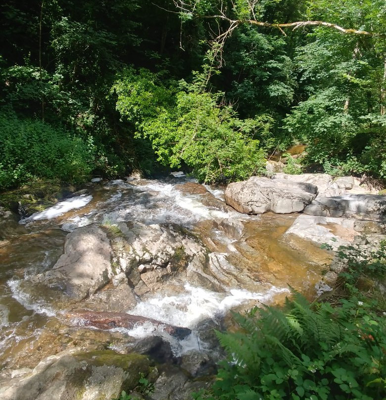 Sentier des Gorges de Bilhard景点图片