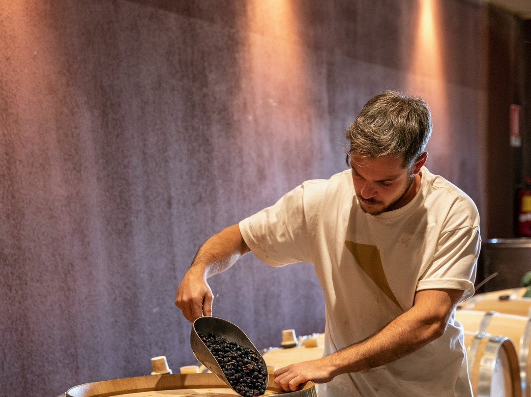 Tenuta La Cà-巴尔多利诺必去景点