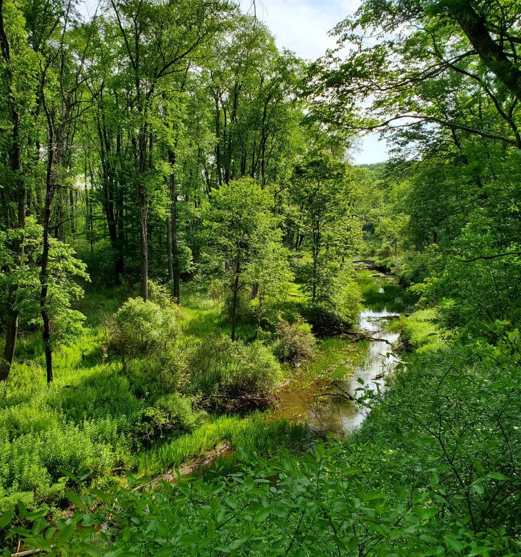 Herrington Manor State Park景点图片