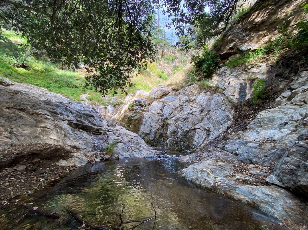 Placerita Canyon Nature Center景点图片